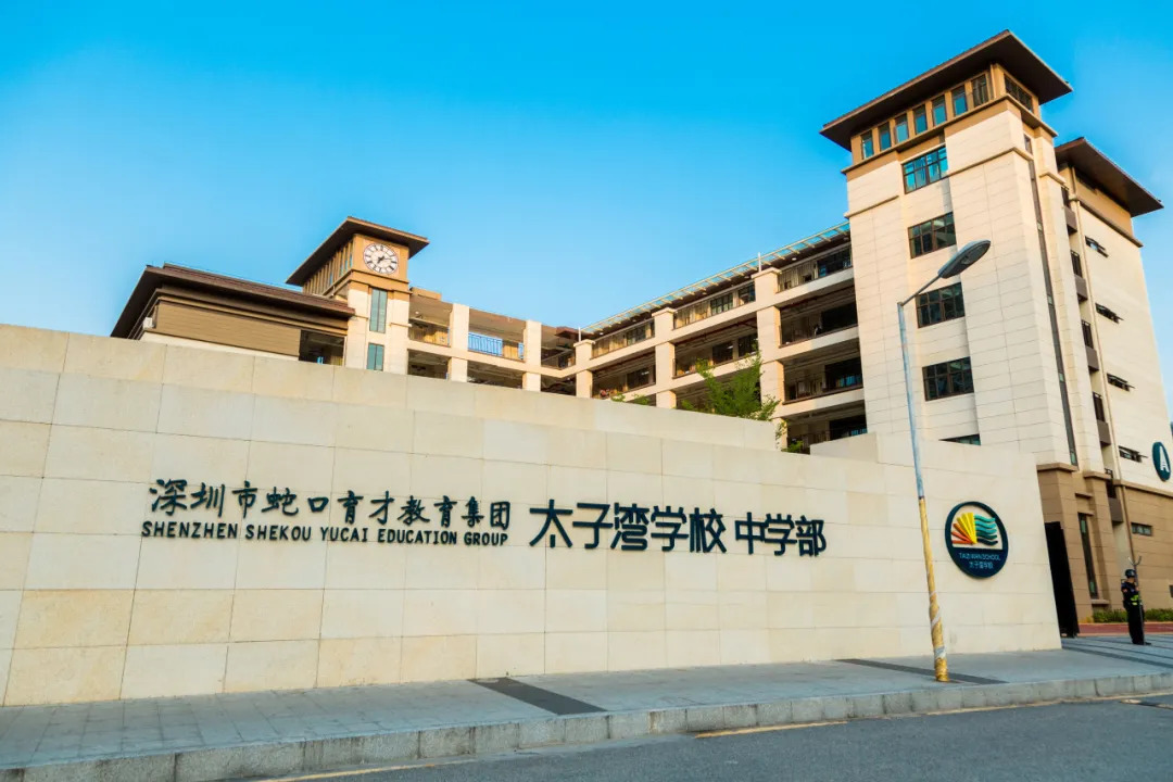 深圳市蛇口育才教育集团太子湾学校智慧校园六期监控建设项目