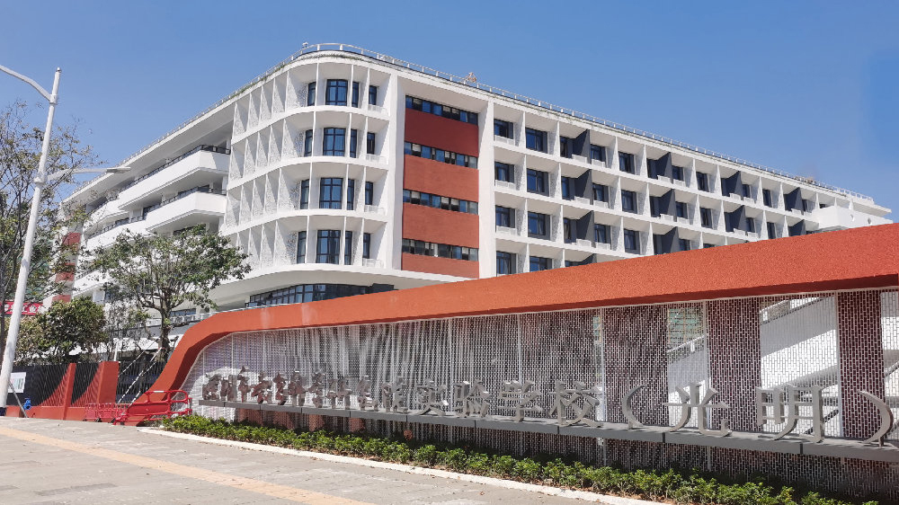 深圳市教育科学研究院实验学校（光明）化学实验室成套设备采购项目
